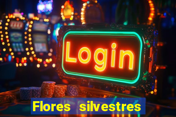 Flores silvestres brasileiras 25